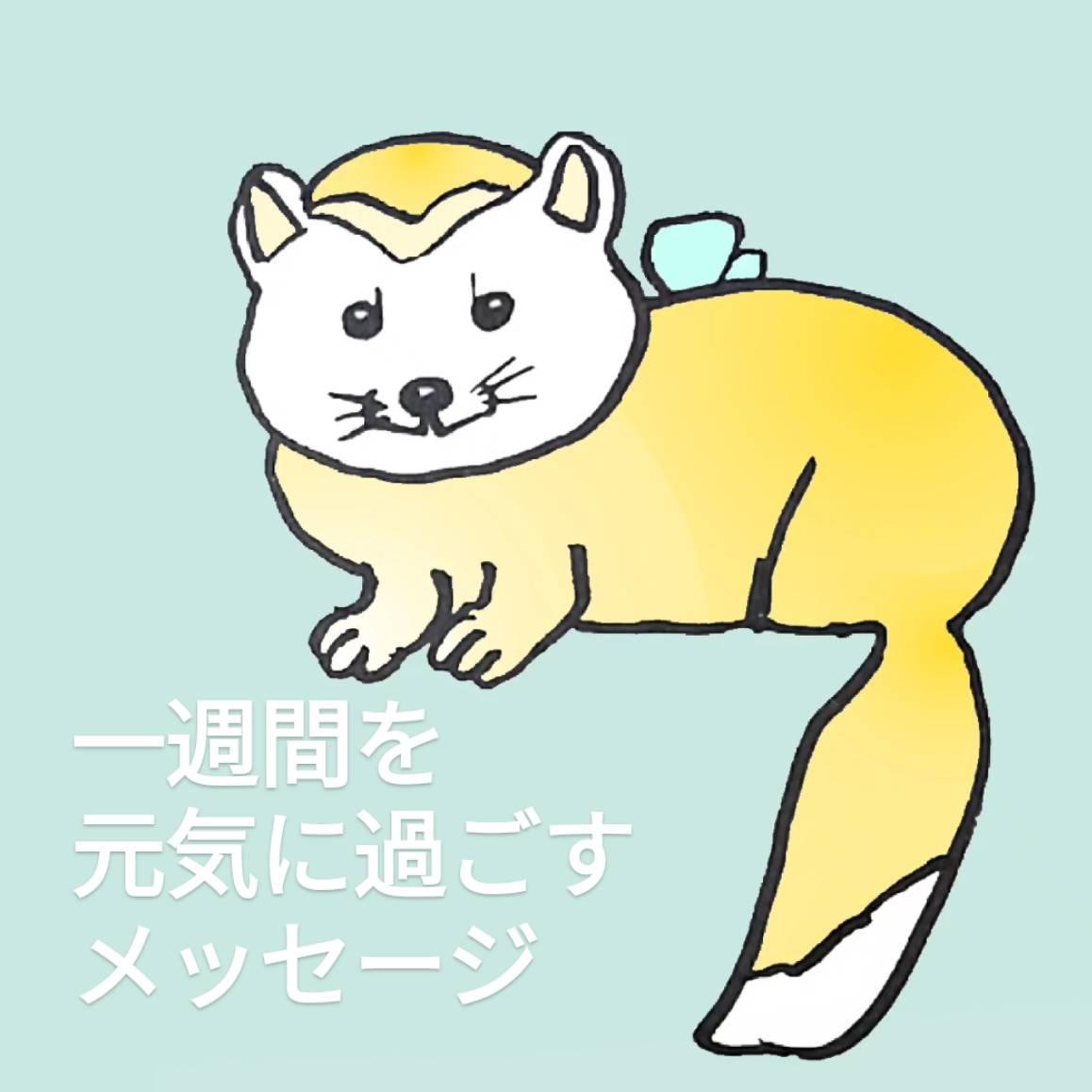 �P�T�Ԃ����C�ɉ߂������b�Z�[�W�I