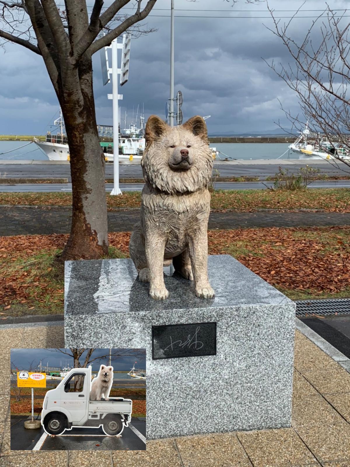 �킳���̓����@�摜����