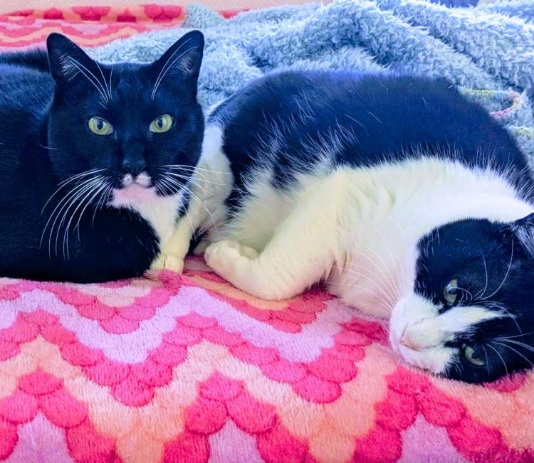 2025�N�̕s�v�c