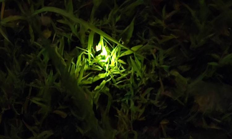 �U��9���A10���̉^��