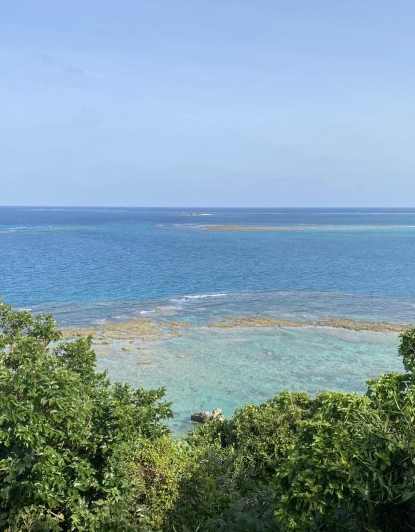 �^�C�p���[�A�b�v���؎���