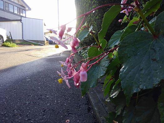 ���C�u��