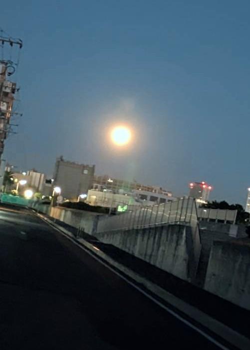 2024�N�Ō�̖���