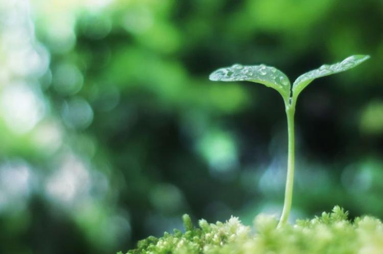 ������������n�肾���Ă���