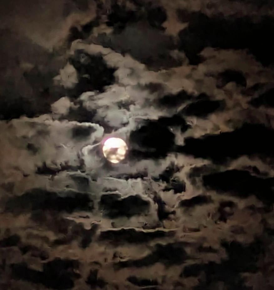 �����Ɨ�