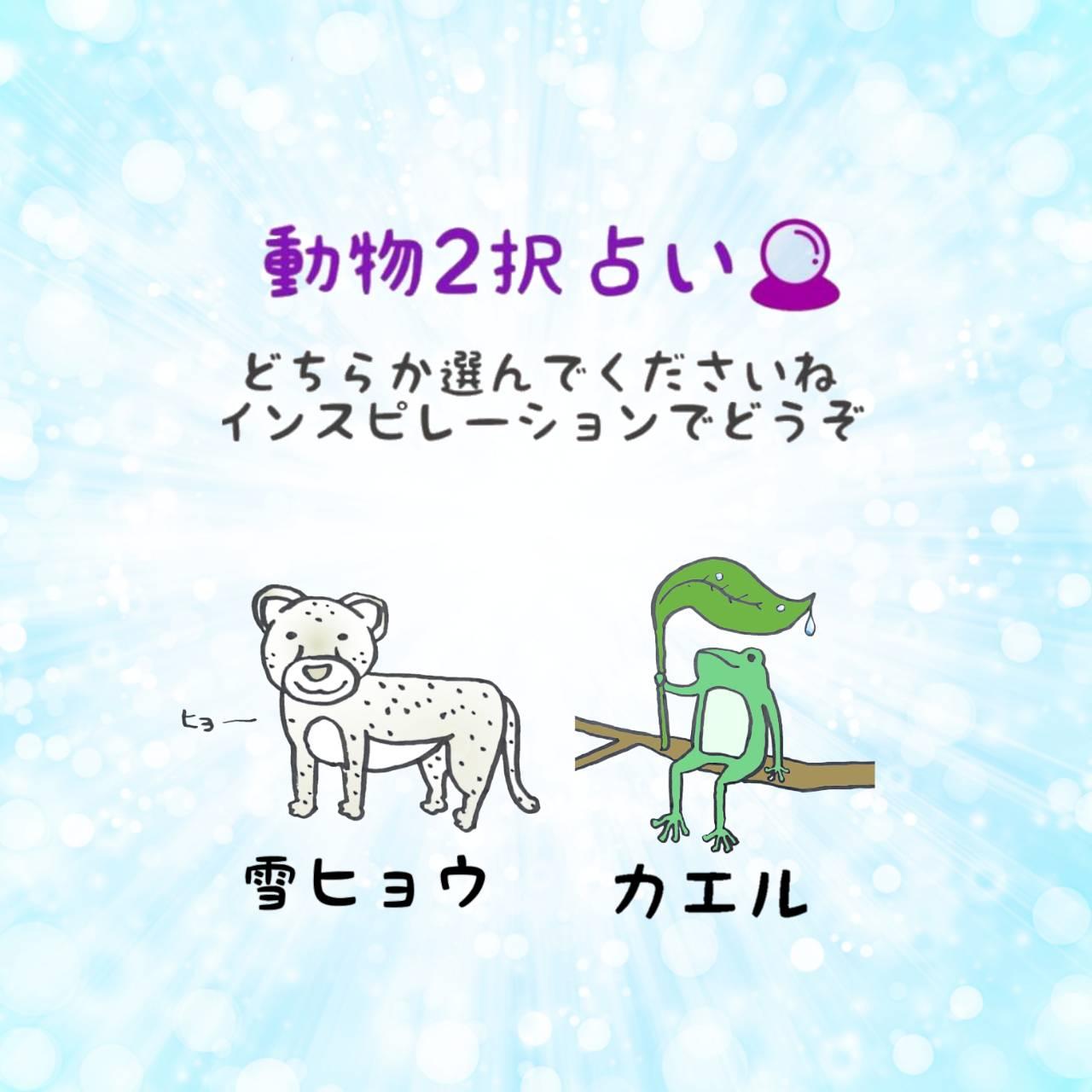 ����2��肢�I�A�h�o�C�X���ǂ�����