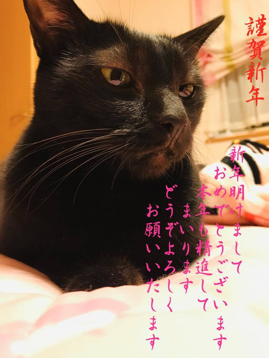 �V�N�����܂��Ă��߂łƂ��������܂�