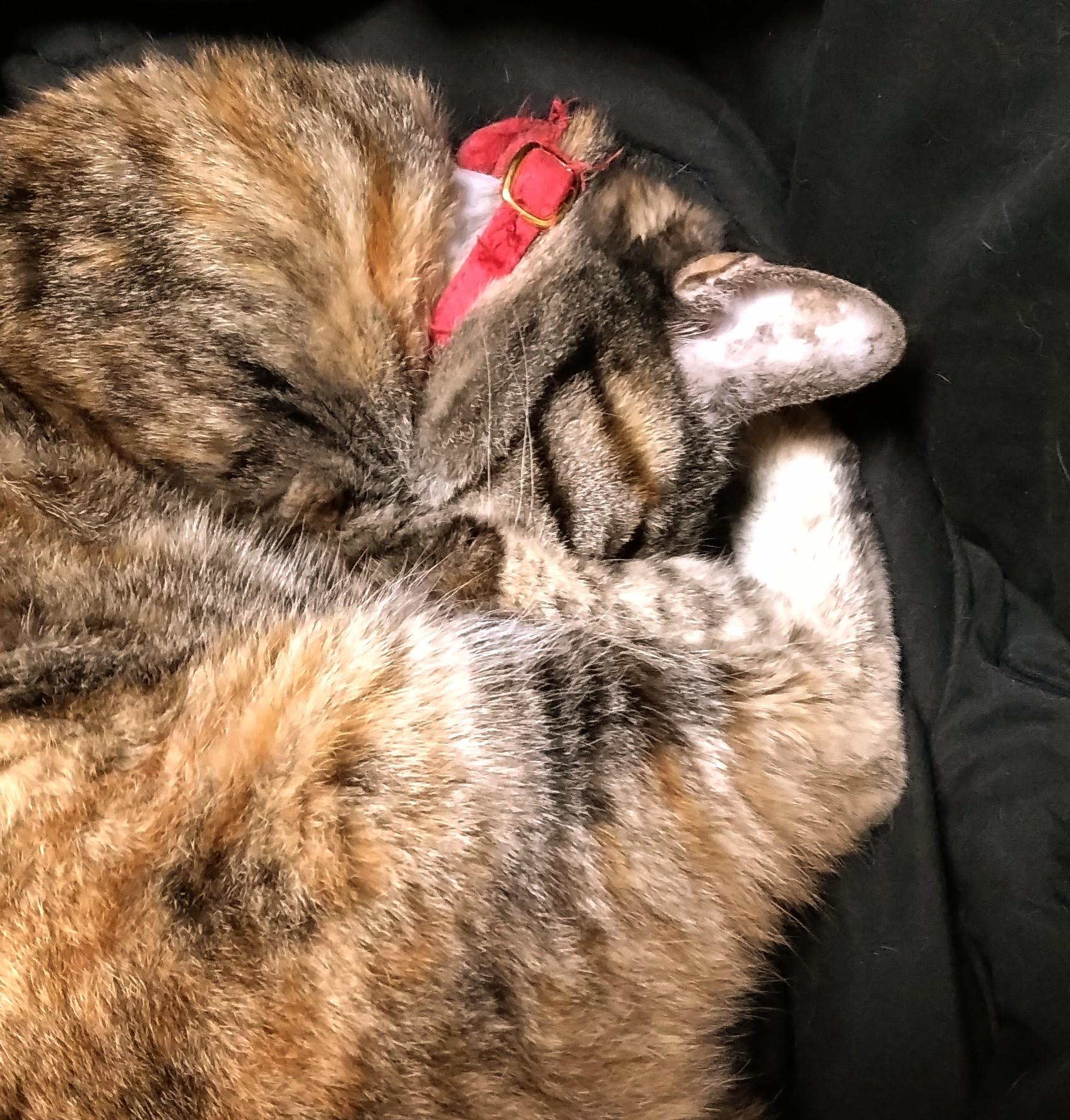 �~�J�ł���