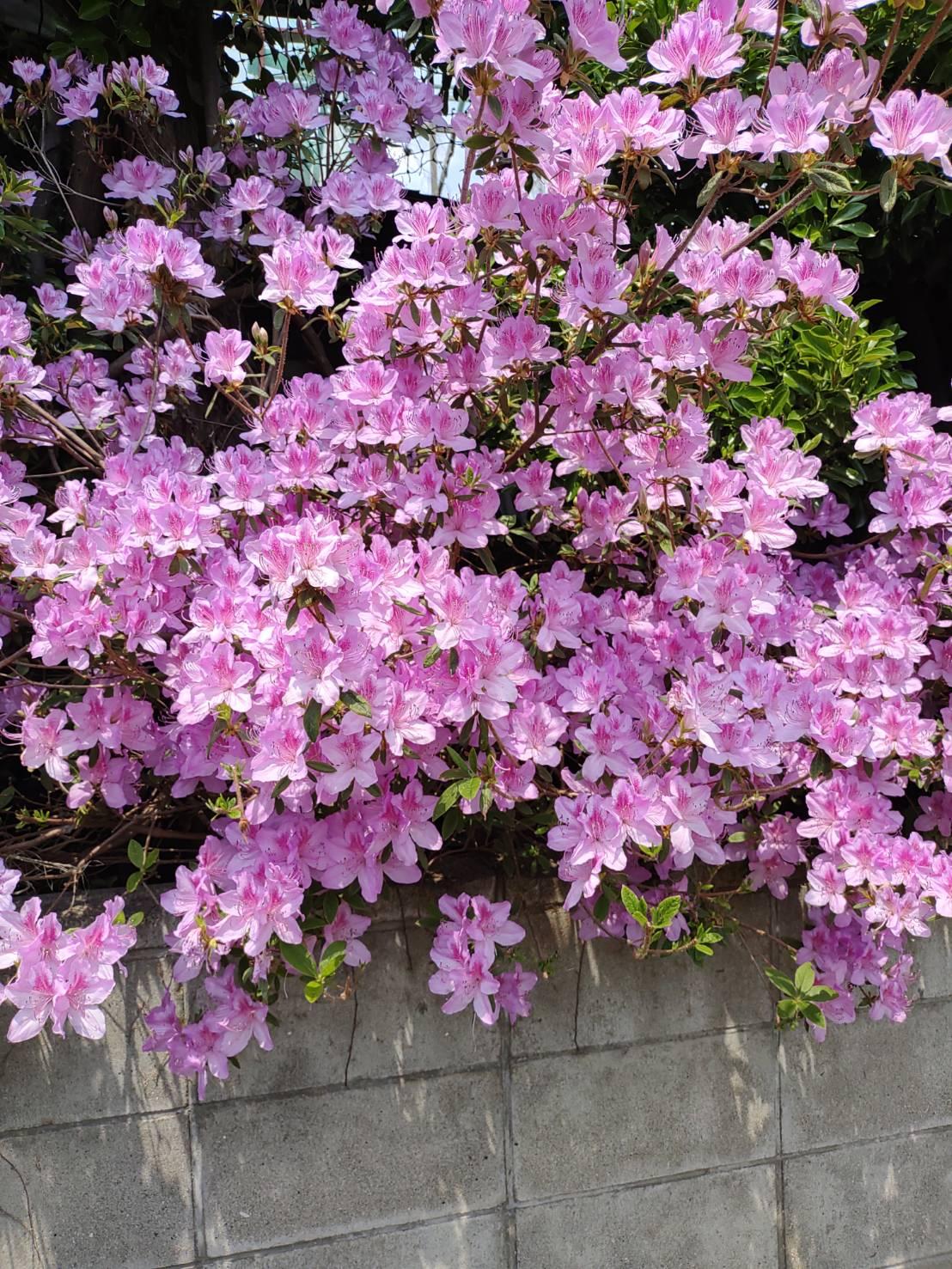 ��ɂȂ��ċC�Â��Ă��x������