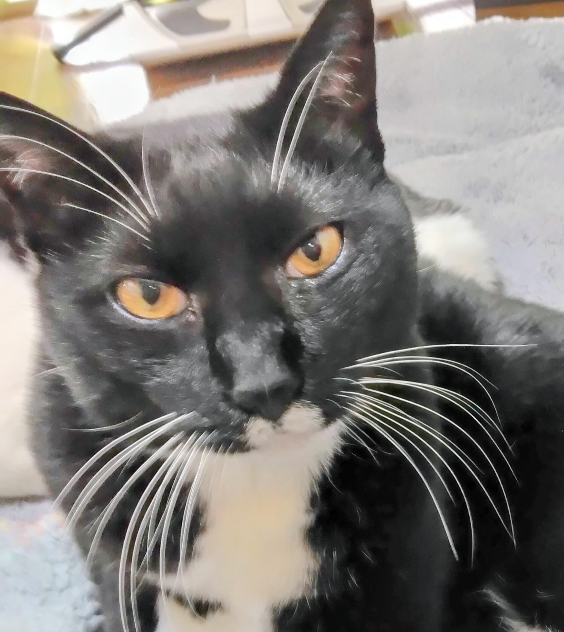 �P�������֑����Ă�