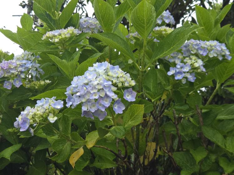 �U��17���@�^��