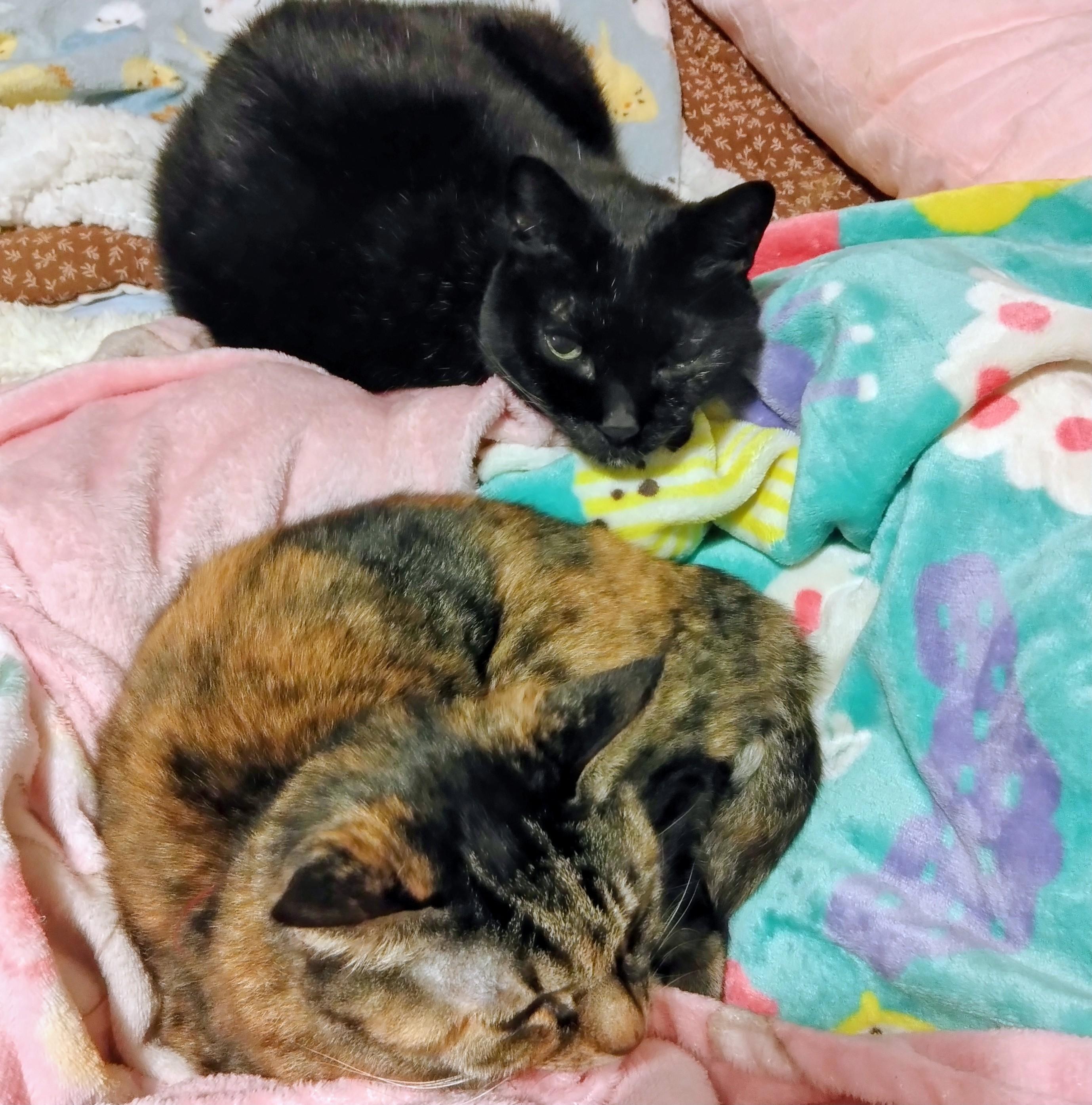 �~���ł��邱��