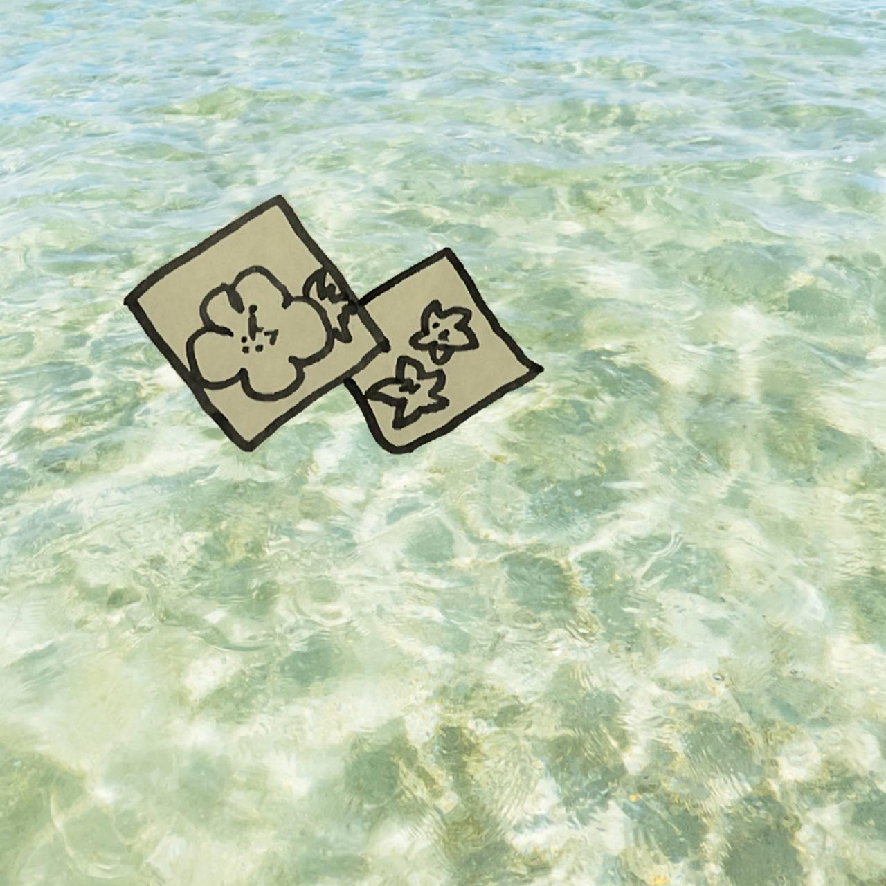 �V�����J�[�h�ƑΛ�����