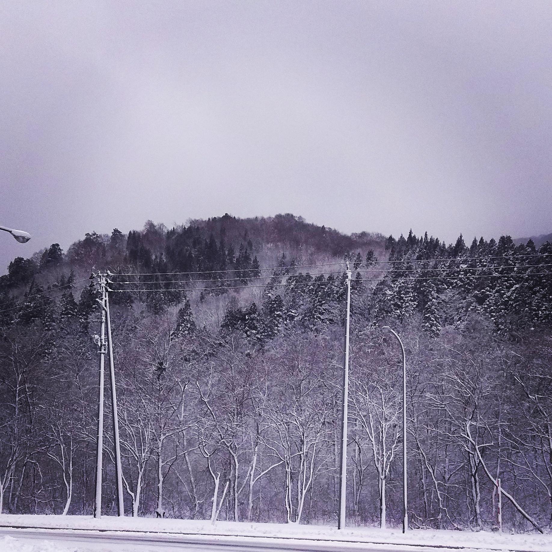 ��R�ł���