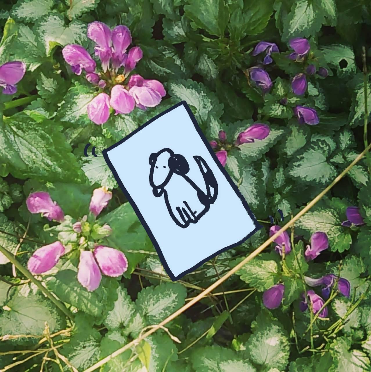 ��ԍŏ��ɔ������I���N���J�[�h