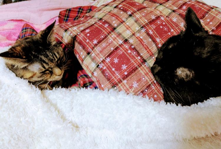 ��肽���Ȃ�