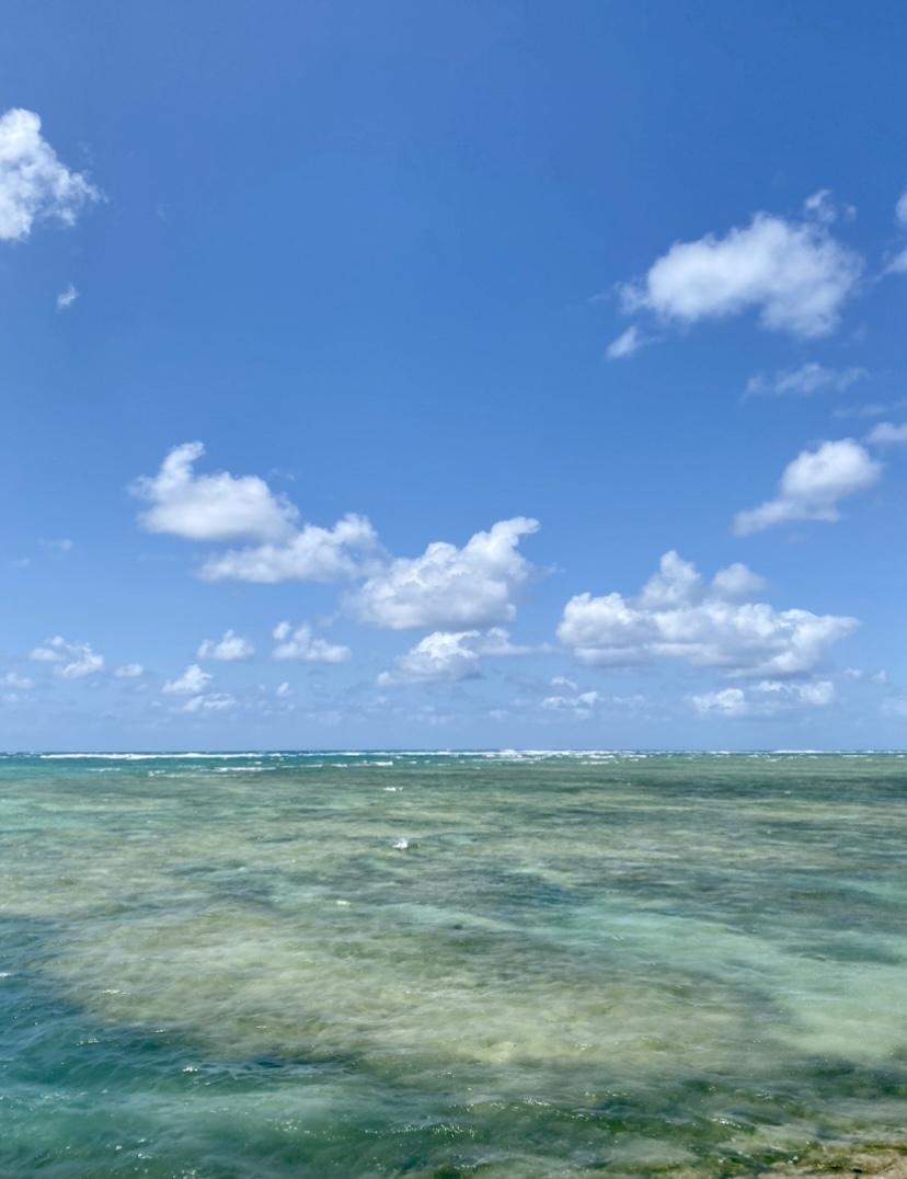 �j���C�J�i�C