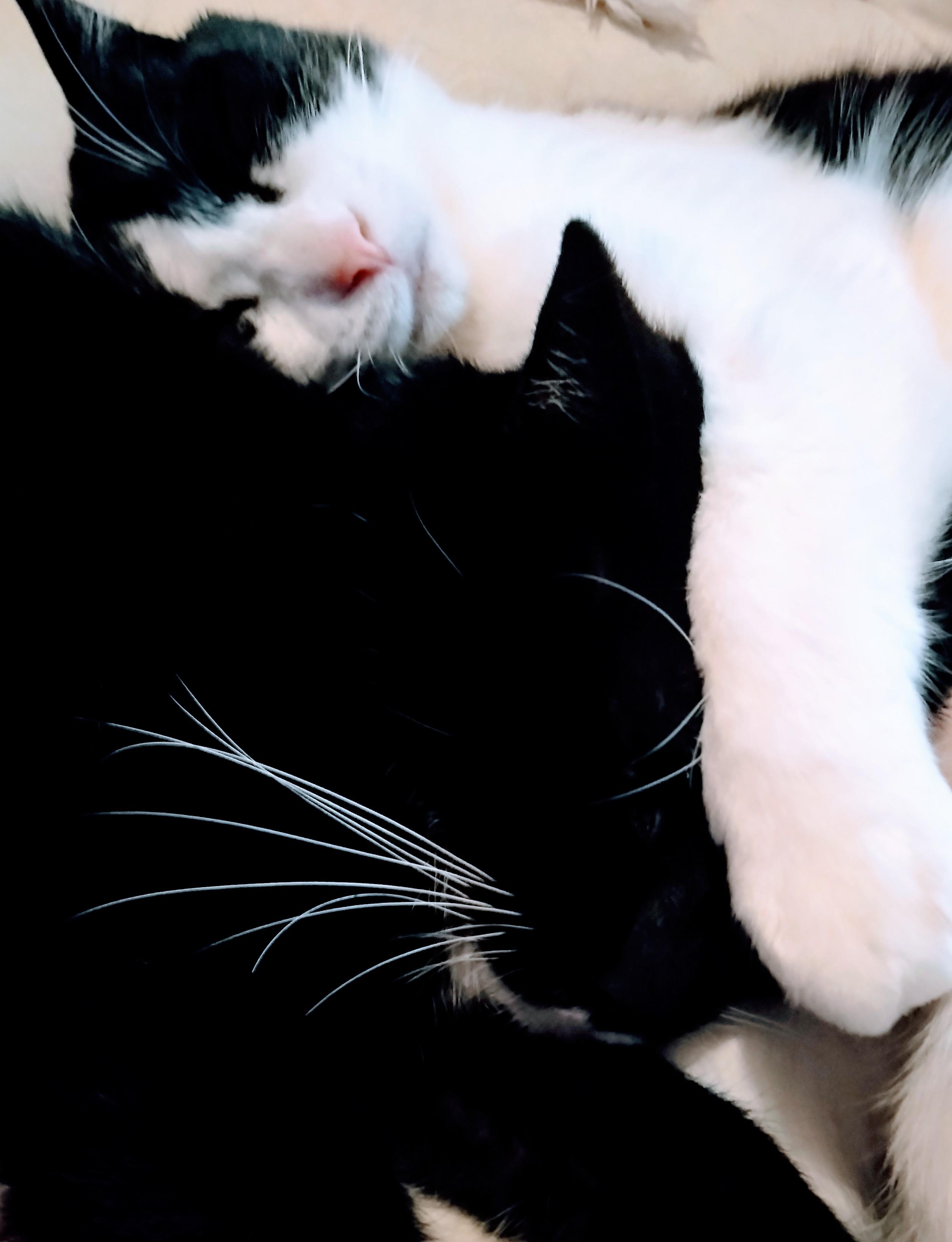 1�N�ɓx�X���邻��Ȋ��ԁB