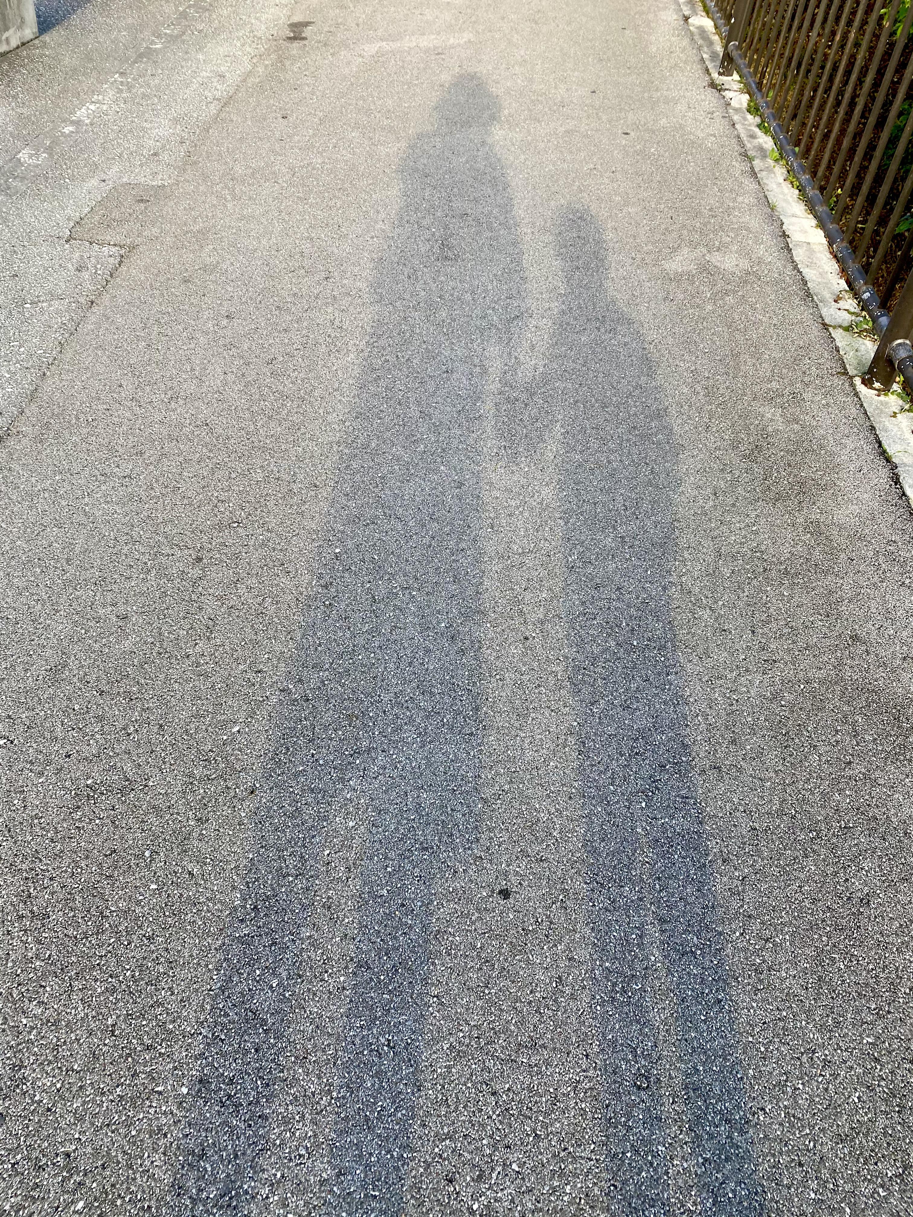 �K���̃V�F�A���i���̂P�����ł���j