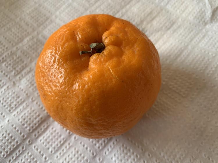 CłH