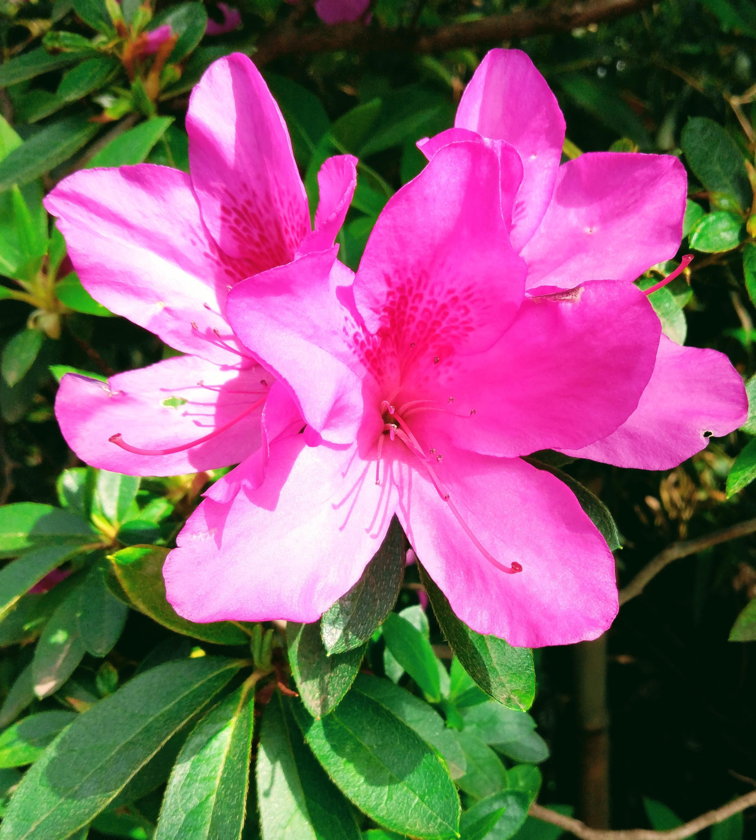 ���N���N�h�L�h�L��