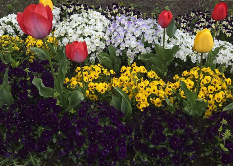 �S��16���@�^��