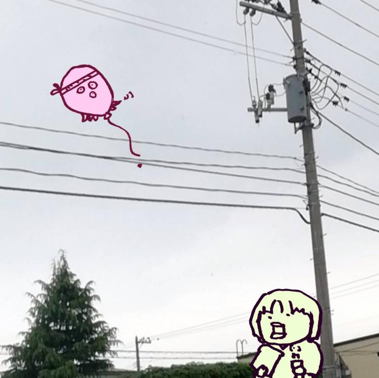 �v��ʂƂ��납��K�^�Ȑl�����H