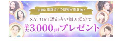 SATORI�F��肢�t�ɂ��Y�݂𑊒k