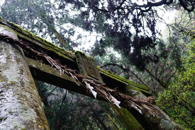 ���͂悤�������܂��B