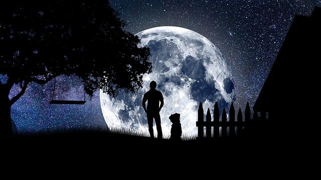 [�ŋ�]�R�[���h���[���̃p���[�Ŋ�]���A