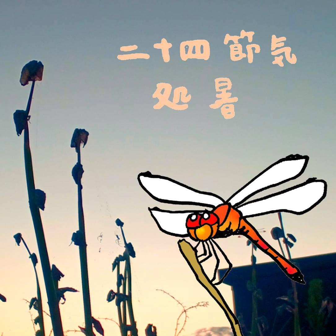 �����ɐ��NG��5�̏K���I