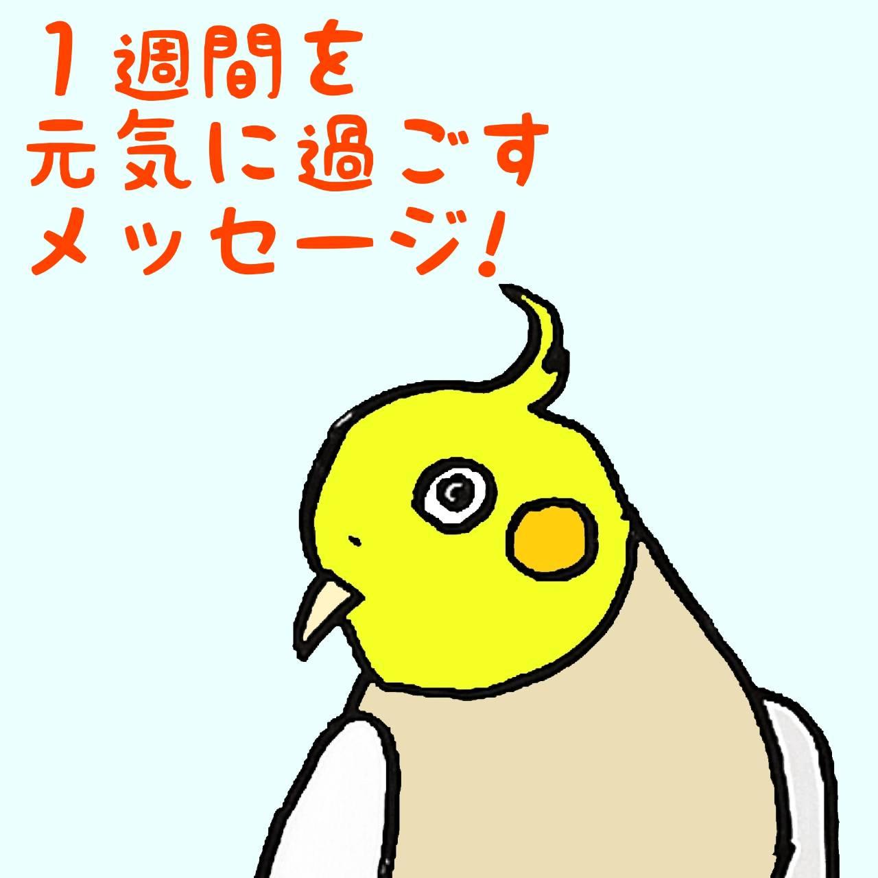 1�T�Ԃ����C�ɉ߂������b�Z�[�W�I