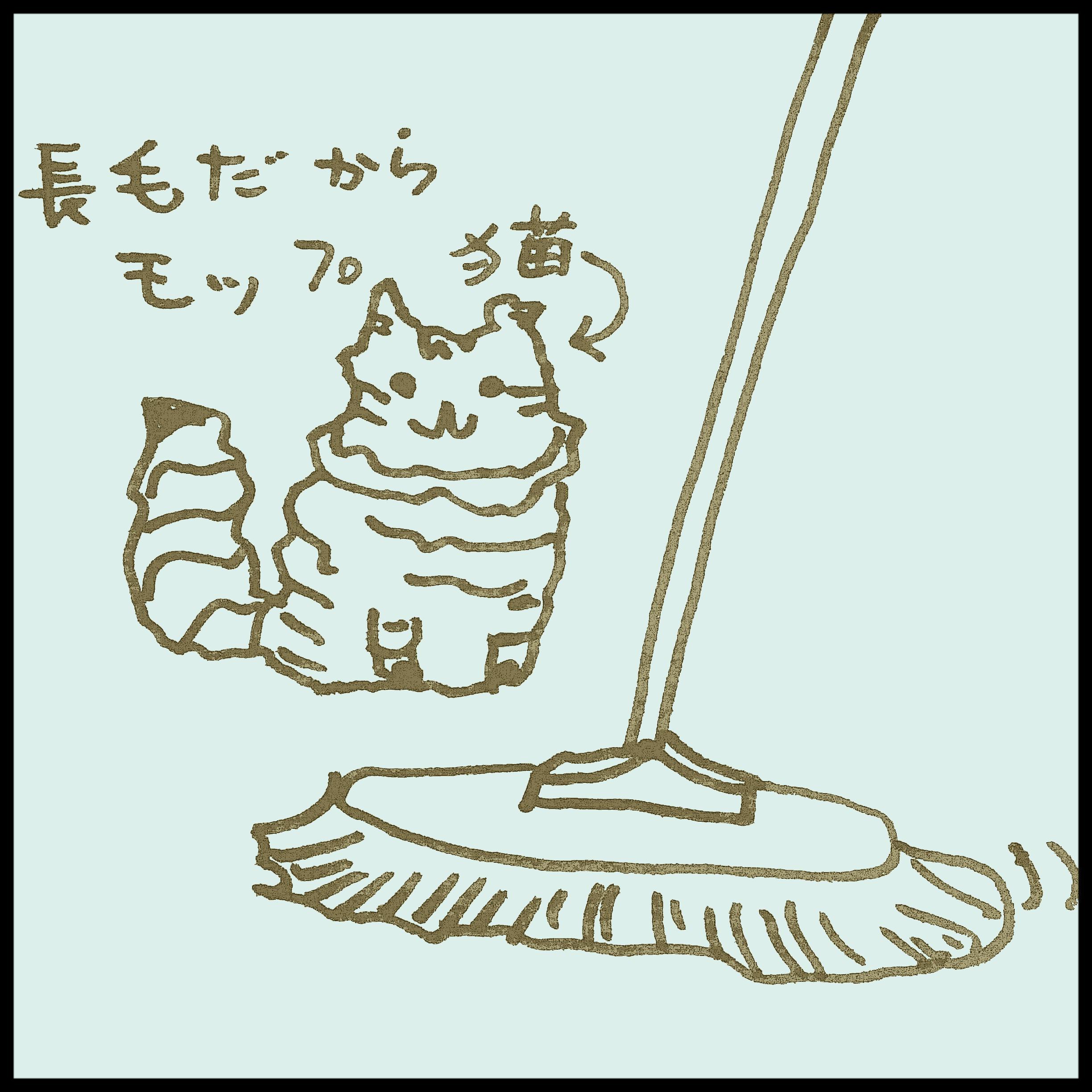 ���b�v�͂ǂ��ł��@���Ē��֗�