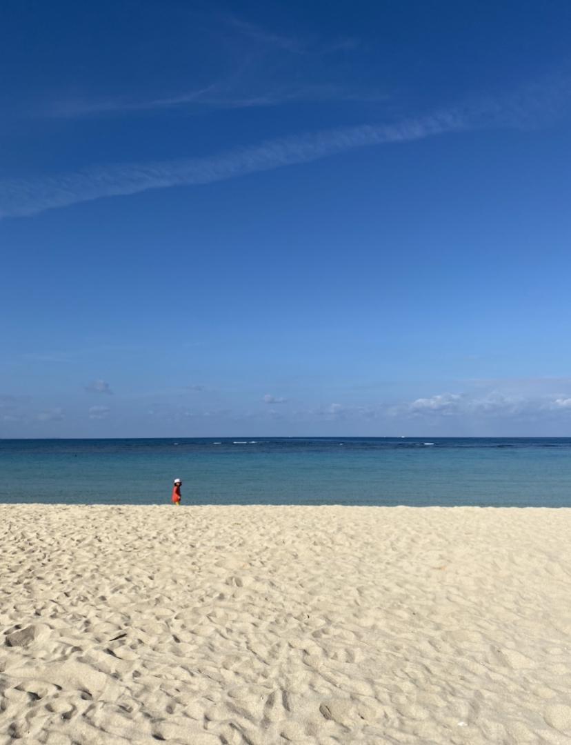 ���z�̌��������Ղ聙