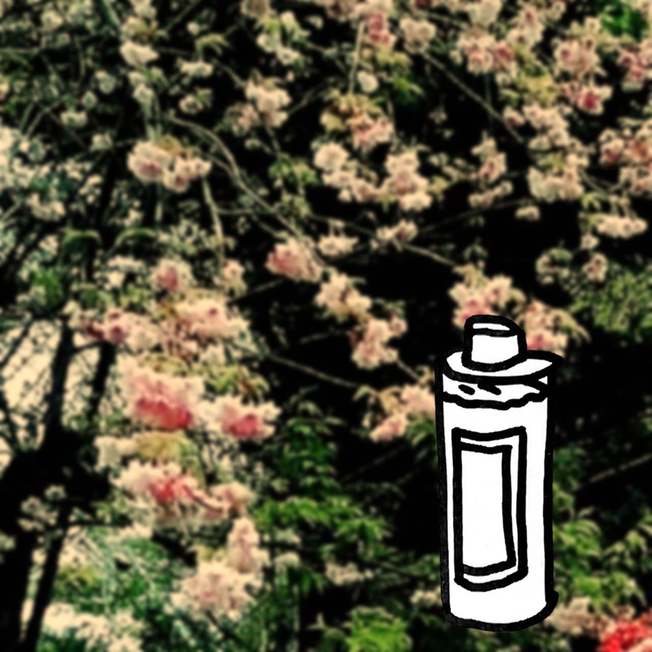 ��̃V�~�̘b�E�E�E�E( ɄD`)