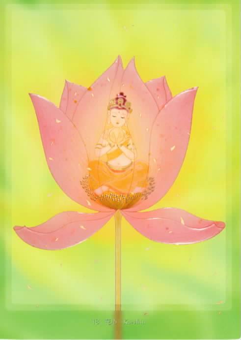 �q�������搶�̃u���O������