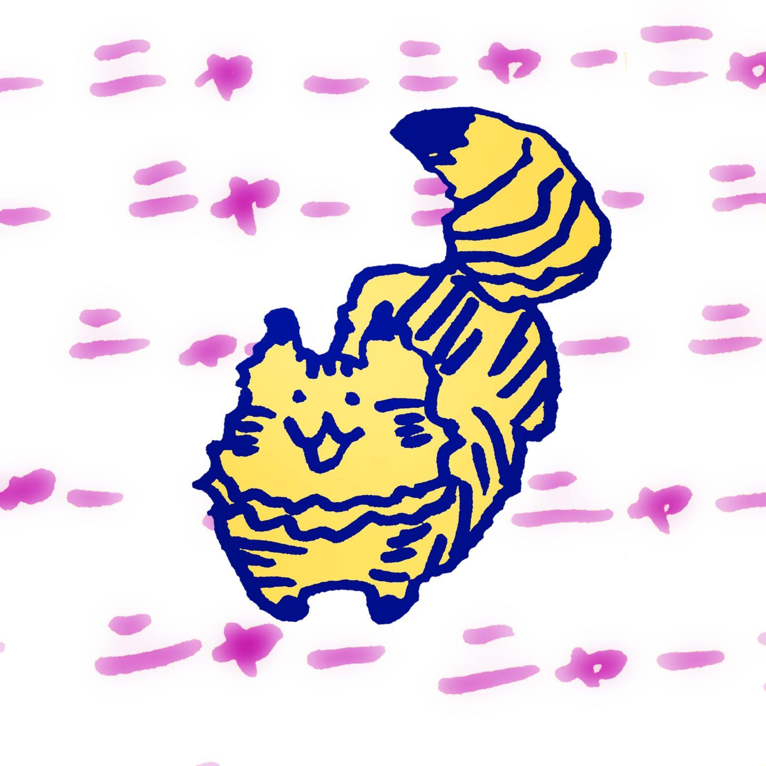 �R�~���j�P�[�V�������Ƃ�Ƃ�������