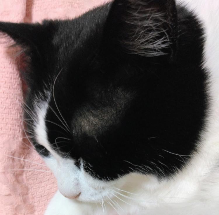 �������Ȃ���