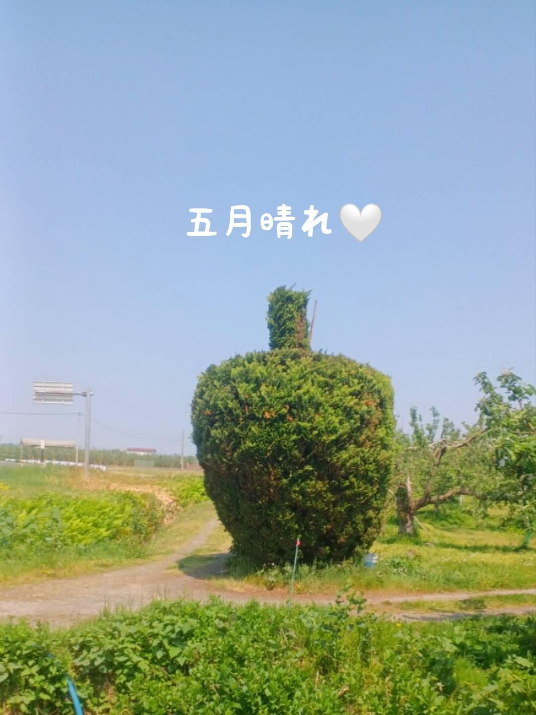 �u�܌�����v�͔~�J�̌��t�H5���̋�̔閧