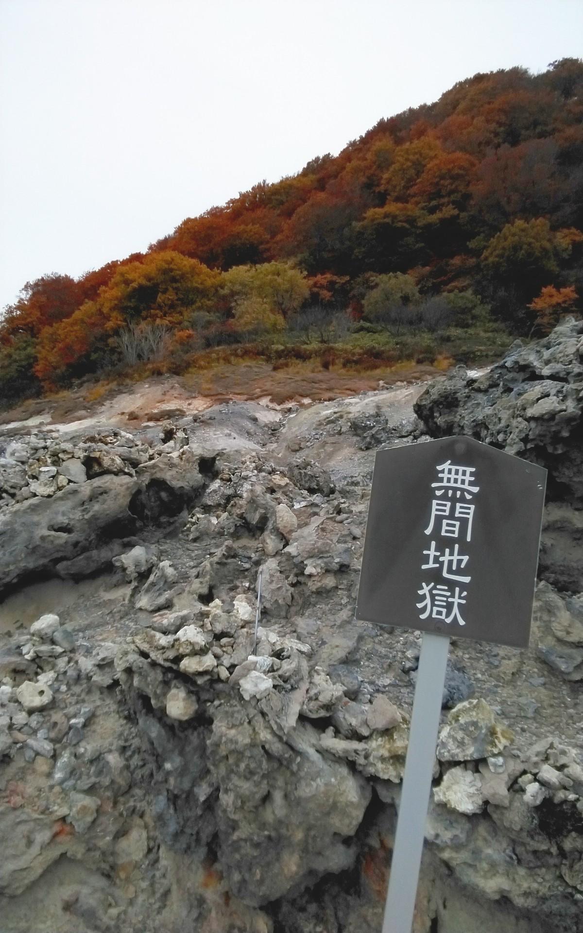 ���R�}�W�������C�^�R�����