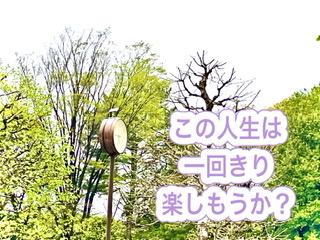 �V���N���j�V�e�BR4.4.15����