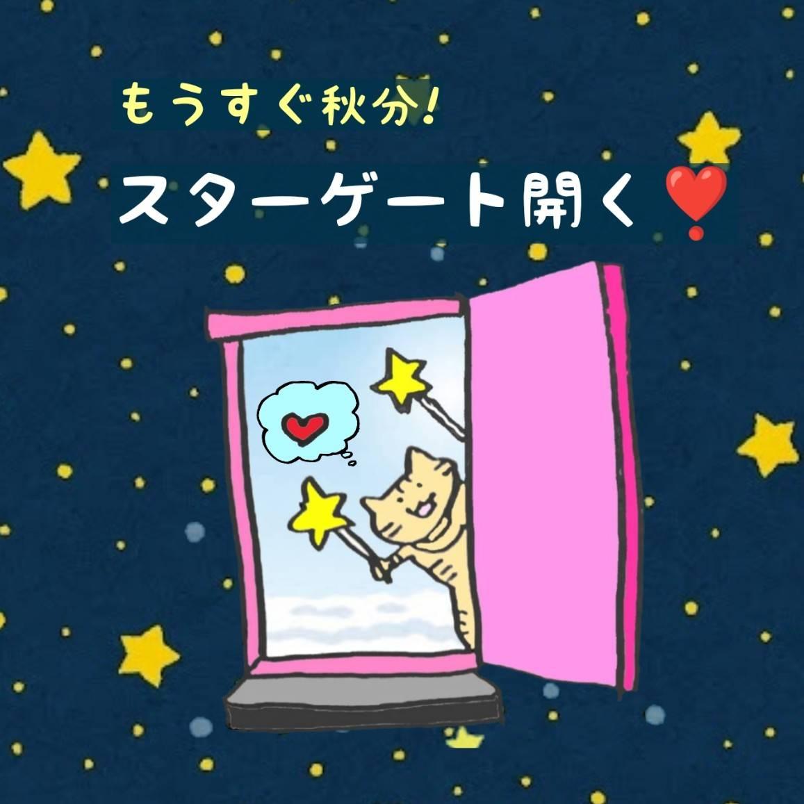 ���������H���I�X�^�[�Q�[�g�J����