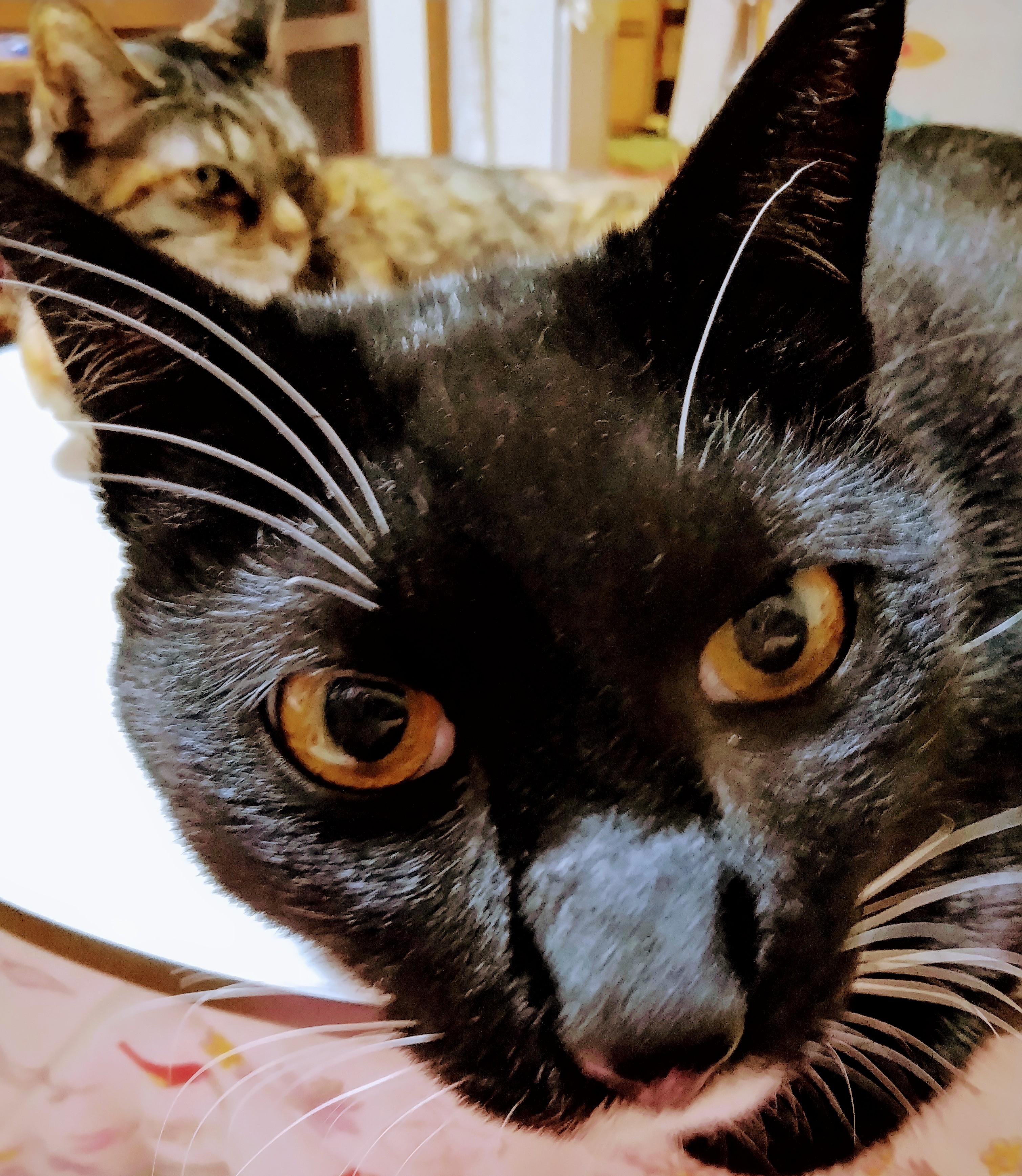 �q�ǂ��ɂ������������