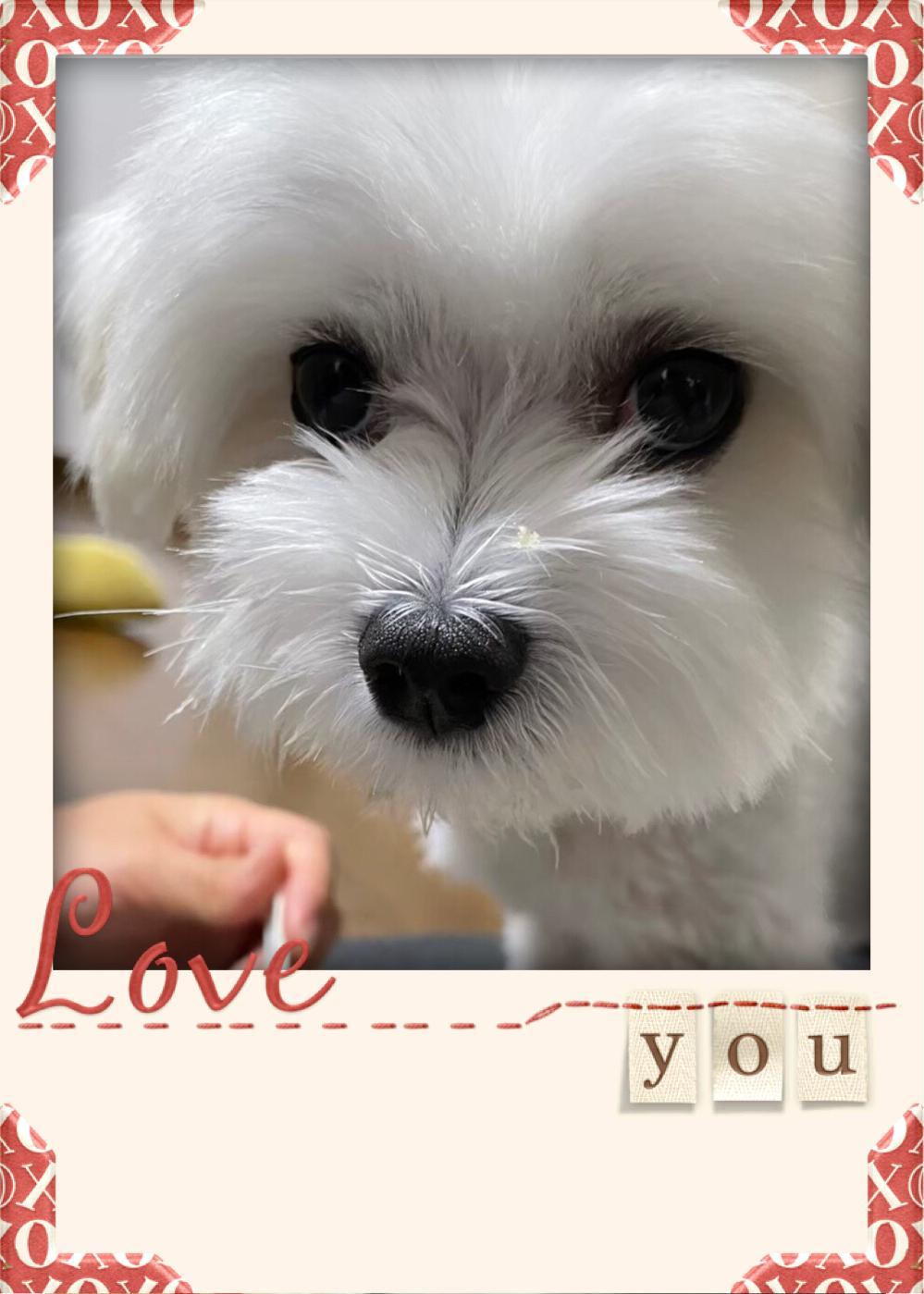 �ނ̋C�������m�肽��