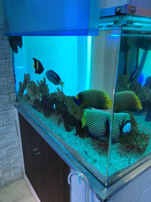 �C�����̋C����