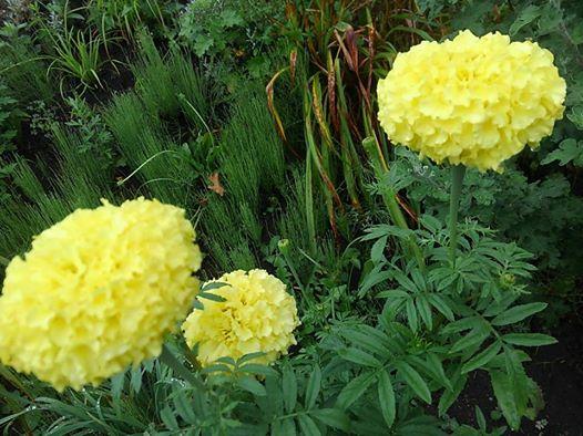 ���~�I�������B