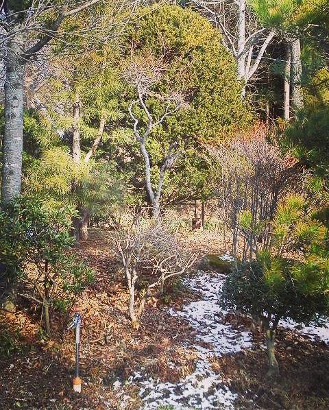 �����̎����ւ̃��b�Z�[�W