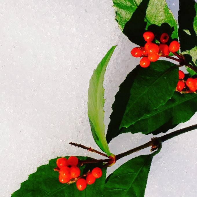 �J�^����I�N���Ɍ����ėp�ӂ��ׂ���