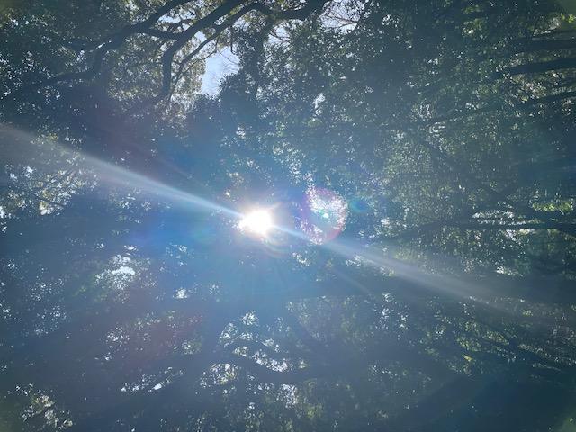 節分参りに行ってきたよ～(*´ω｀*)