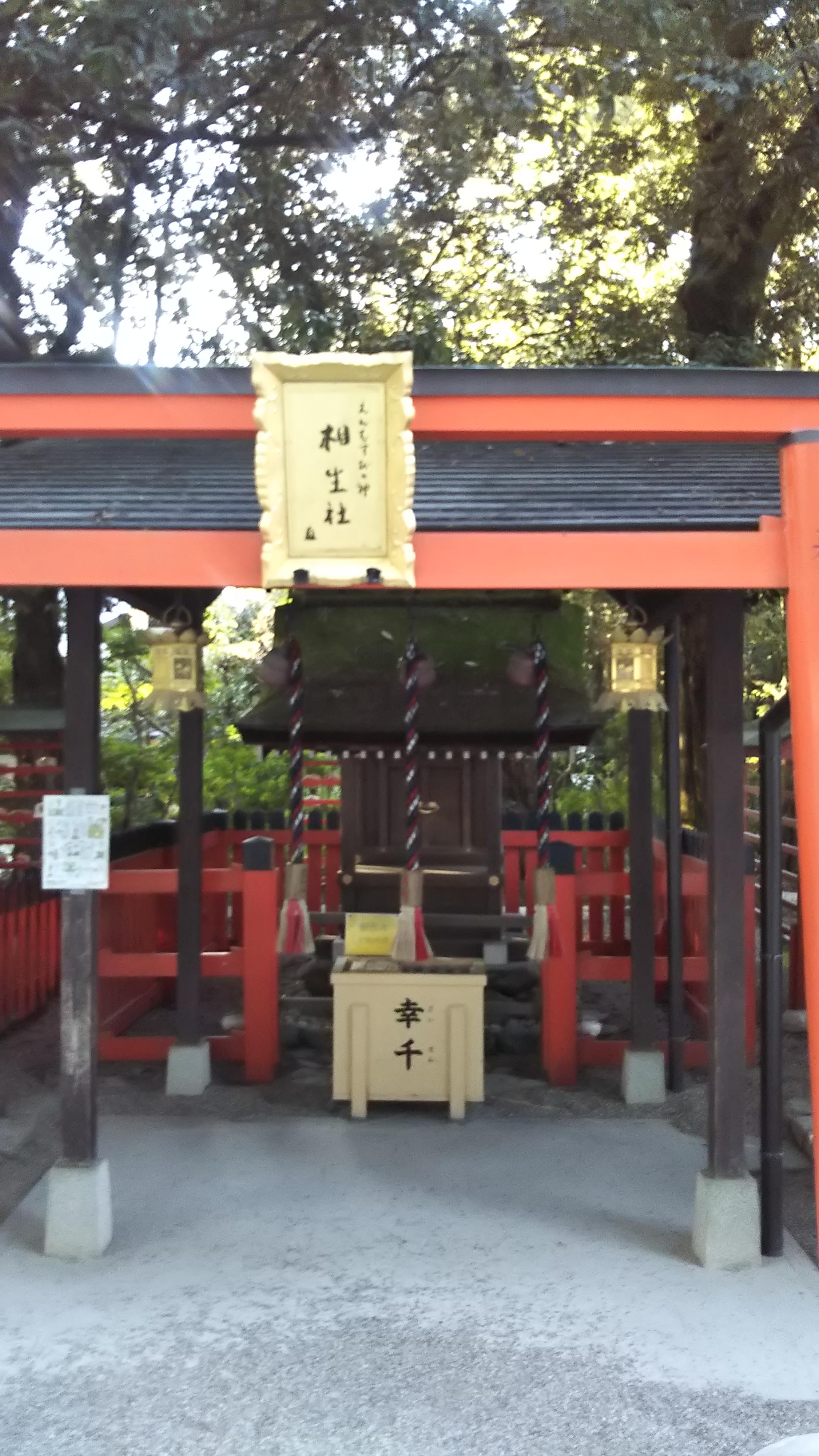 �����ыF��